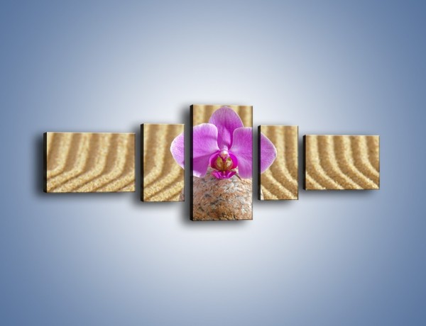 Obraz na płótnie – Struktura piasku z kwiatem – pięcioczęściowy K637W6