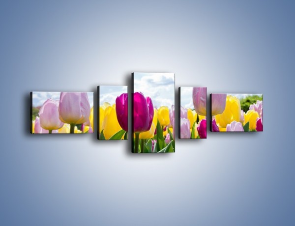 Obraz na płótnie – Kwiaty na tle chmur – pięcioczęściowy K638W6