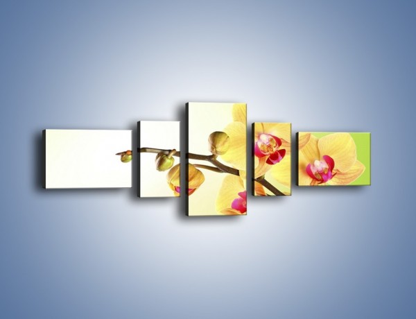Obraz na płótnie – Kwiat na limonkowym tle – pięcioczęściowy K650W6