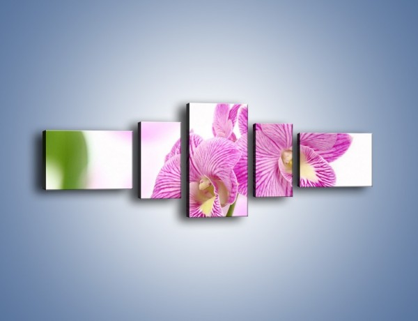 Obraz na płótnie – Kwiat pełen pasji – pięcioczęściowy K689W6