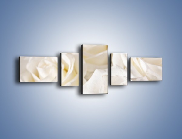 Obraz na płótnie – Dywan z białych róż – pięcioczęściowy K711W6