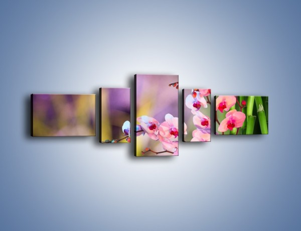 Obraz na płótnie – Pachnące kwiaty i świece – pięcioczęściowy K731W6