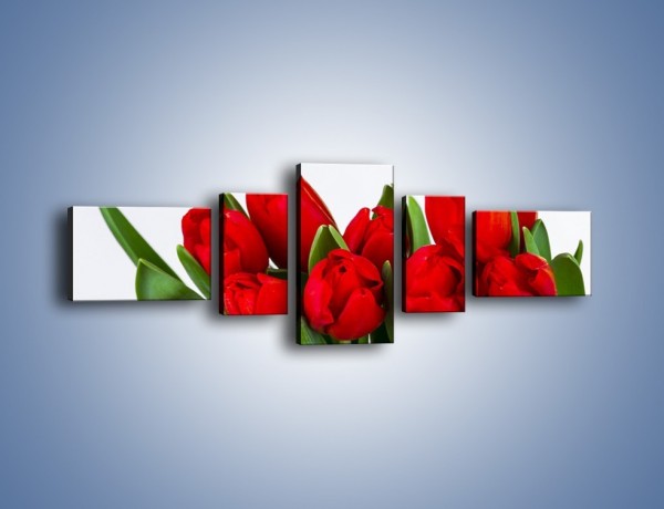 Obraz na płótnie – Tulipany na dzień kobiet – pięcioczęściowy K740W6