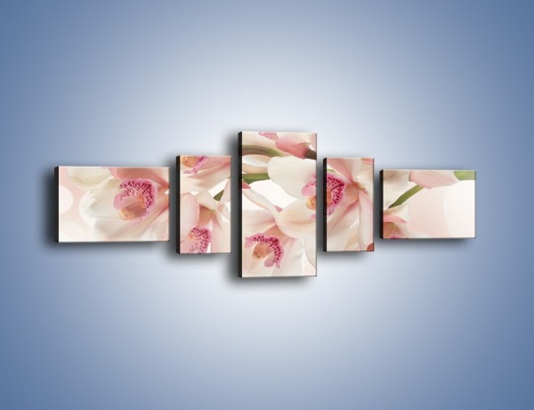 Obraz na płótnie – Szlachetne różowe storczyki – pięcioczęściowy K756W6