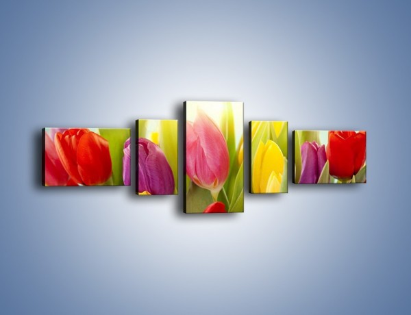 Obraz na płótnie – Tulipany w pierwszym rzędzie – pięcioczęściowy K760W6