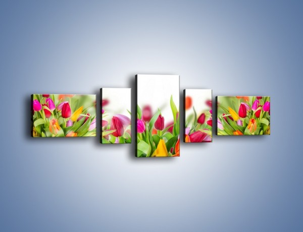 Obraz na płótnie – Tulipanowe bukieciki – pięcioczęściowy K763W6