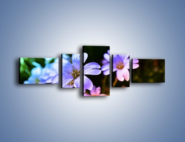 Obraz na płótnie – Niebieskie główki kwiatuszków – pięcioczęściowy K769W6