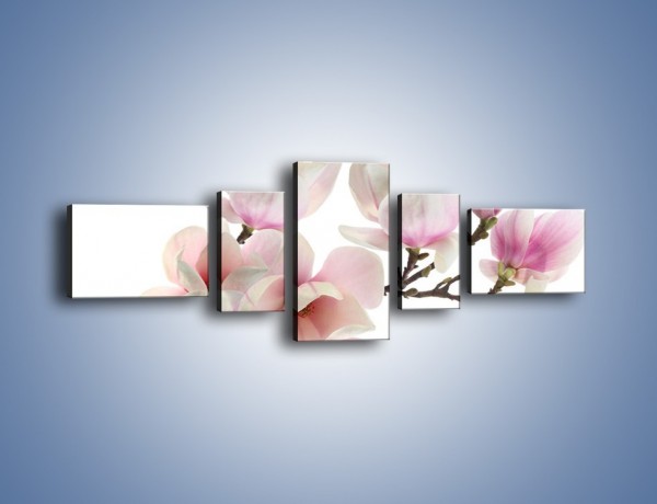 Obraz na płótnie – Zerwana gałązka magnolii – pięcioczęściowy K780W6