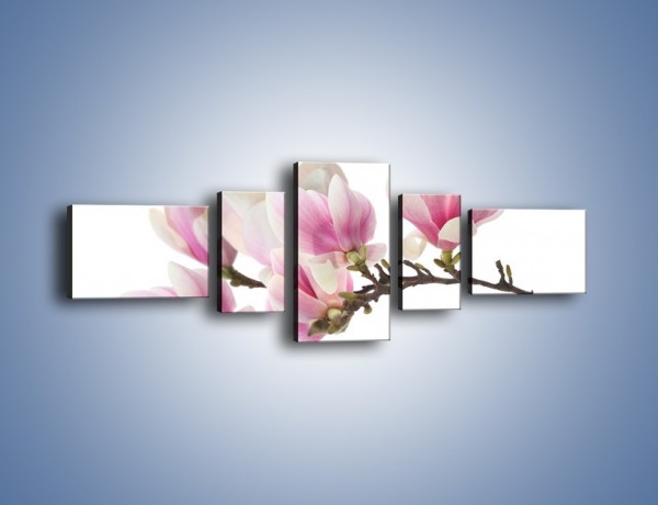 Obraz na płótnie – Rzut na gałąź magnolii – pięcioczęściowy K782W6