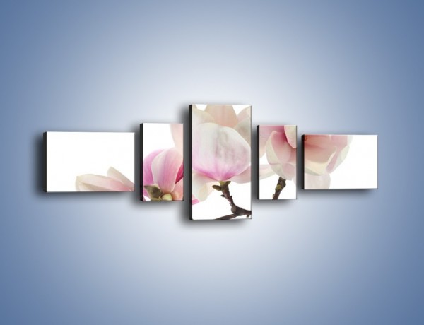 Obraz na płótnie – Obcięte gałązki białych różowych kwiatów – pięcioczęściowy K783W6