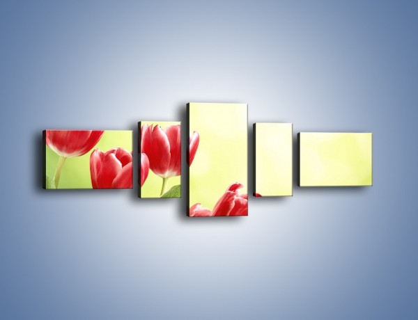 Obraz na płótnie – Polne tulipany i stokrotki – pięcioczęściowy K789W6