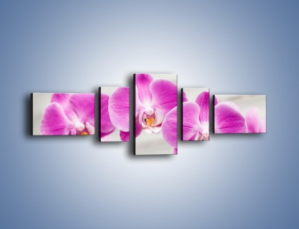 Obraz na płótnie – Kwiat o mocnym charakterze – pięcioczęściowy K814W6