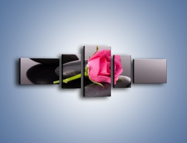 Obraz na płótnie – Ścięta róża na czarnej tafli – pięcioczęściowy K832W6