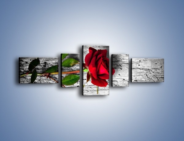 Obraz na płótnie – Róża na surowym tle – pięcioczęściowy K843W6