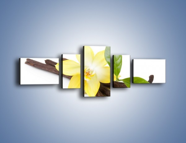 Obraz na płótnie – Samotny kwiat i dodatki – pięcioczęściowy K849W6