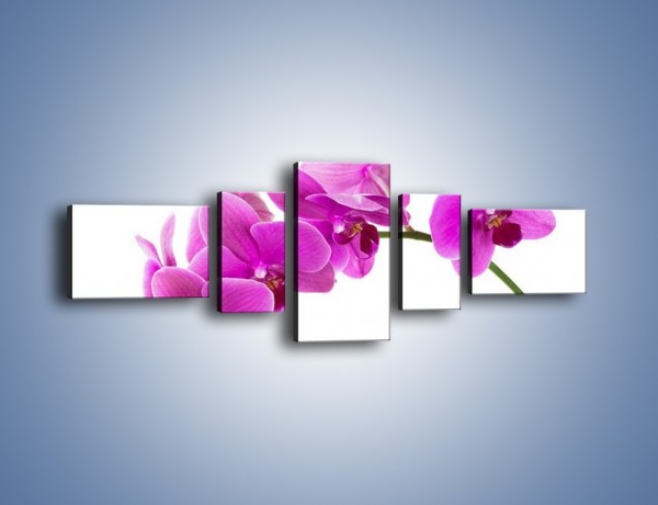 Obraz na płótnie – Kwiaty w lewą stronę – pięcioczęściowy K853W6