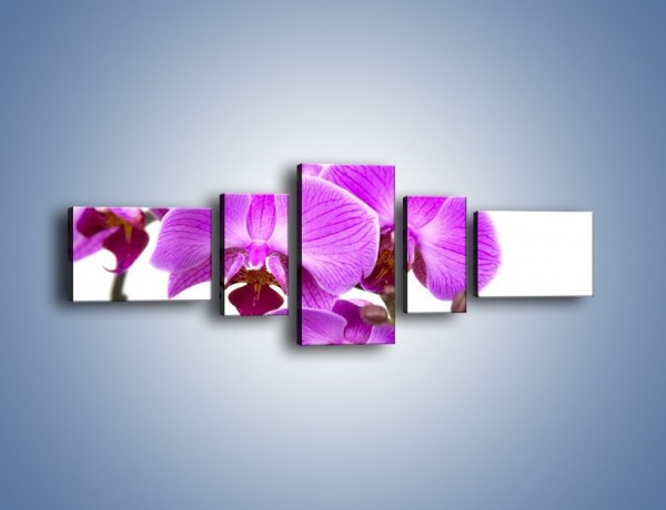 Obraz na płótnie – Samotne kwiaty bez dodatków – pięcioczęściowy K870W6