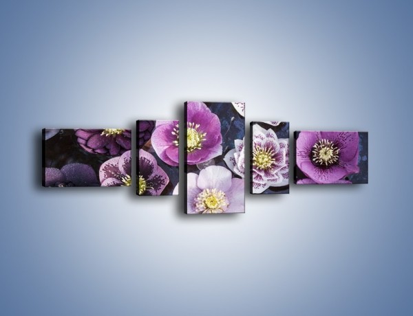 Obraz na płótnie – Wszystkie odcienie fioletu w kwiatach – pięcioczęściowy K876W6