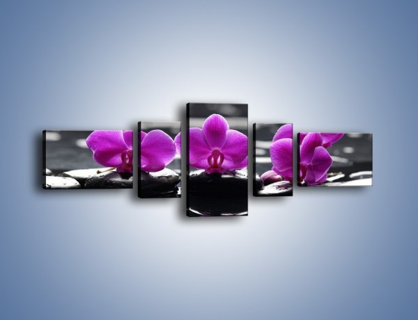 Obraz na płótnie – Wodny szereg kwiatowy – pięcioczęściowy K905W6