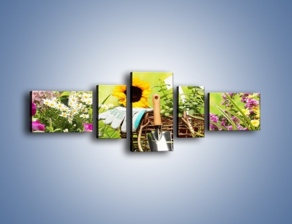 Obraz na płótnie – Sezon na działkowe kwiatki – pięcioczęściowy K917W6
