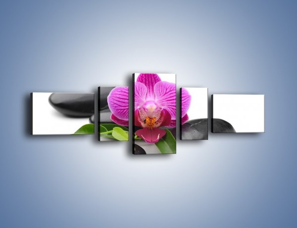 Obraz na płótnie – Kwiat i jego liście – pięcioczęściowy K941W6