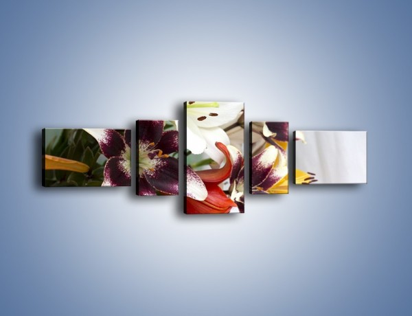 Obraz na płótnie – Wiązanka z samych lilii – pięcioczęściowy K945W6