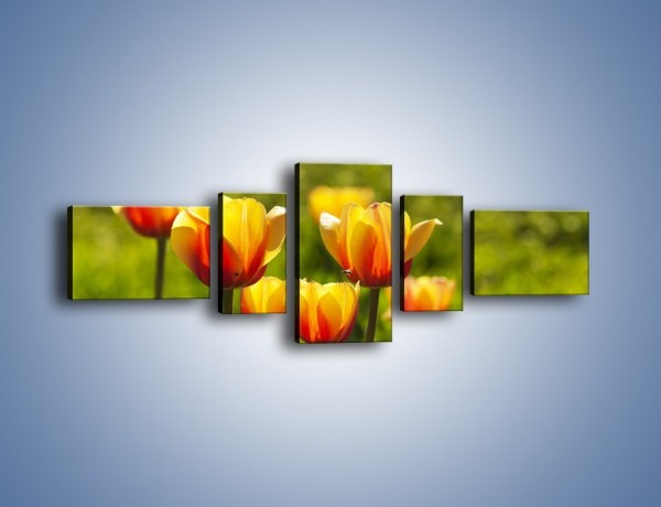 Obraz na płótnie – Pomarańczowe kwiaty i zieleń – pięcioczęściowy K952W6