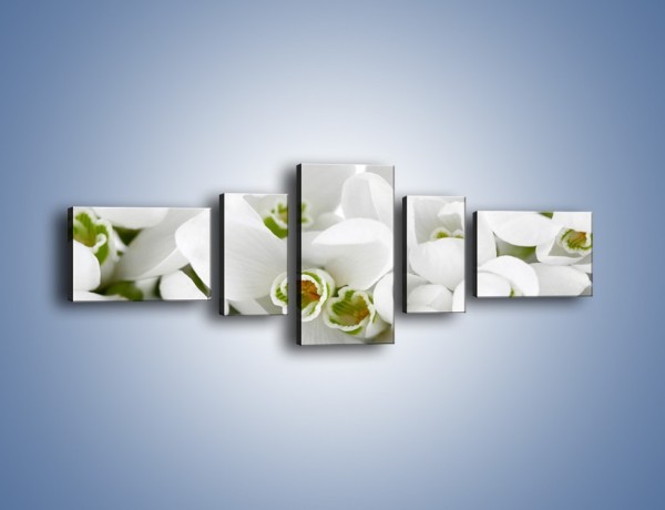 Obraz na płótnie – Niewinne kwiaty z zielonymi oczkami – pięcioczęściowy K988W6