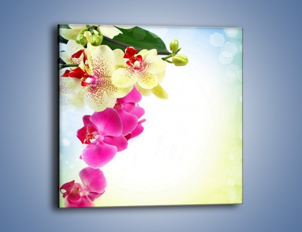 Obraz na płótnie – Krajobraz z kwiatami – jednoczęściowy kwadratowy K250