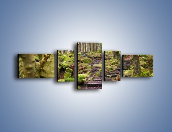 Obraz na płótnie – Schodkami przez las – pięcioczęściowy KN1054W6