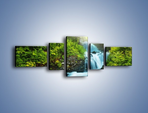 Obraz na płótnie – Spływ wodny i zieleń – pięcioczęściowy KN1069W6