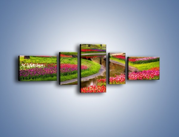 Obraz na płótnie – Aleje kolorowych tulipanów – pięcioczęściowy KN1079W6