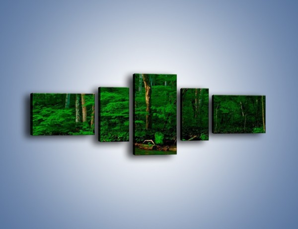 Obraz na płótnie – Mocno zarośnięty las – pięcioczęściowy KN1089AW6
