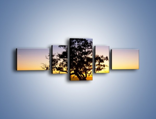 Obraz na płótnie – Drzewa w oddali – pięcioczęściowy KN1095W6