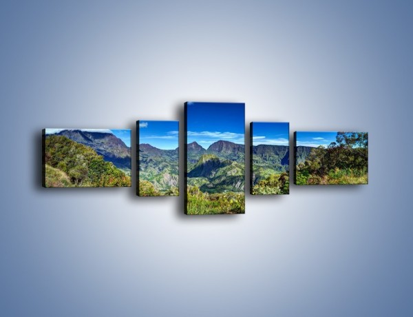 Obraz na płótnie – Cały góry pokryte zielenią – pięcioczęściowy KN1140AW6