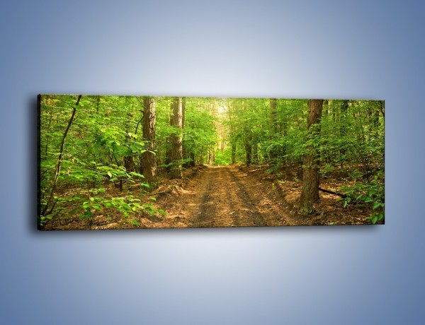 Obraz na płótnie – Leśną drogą jak z filmu – jednoczęściowy panoramiczny KN324