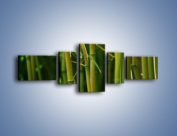 Obraz na płótnie – Bambusowe łodygi z bliska – pięcioczęściowy KN118W6