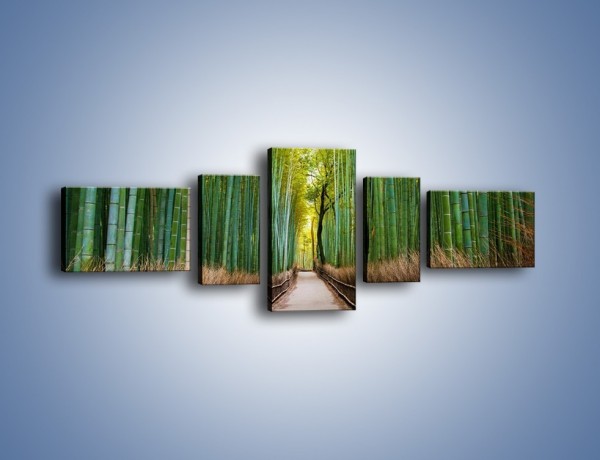 Obraz na płótnie – Bambusowy las – pięcioczęściowy KN1187AW6