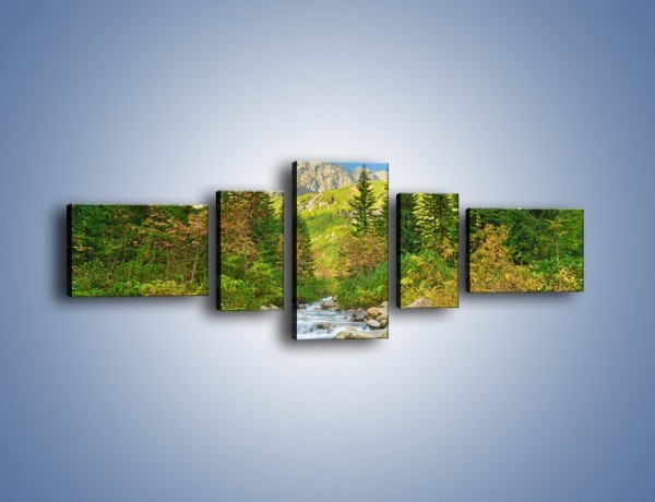 Obraz na płótnie – Płynie strumyk przez zielony las – pięcioczęściowy KN1262AW6