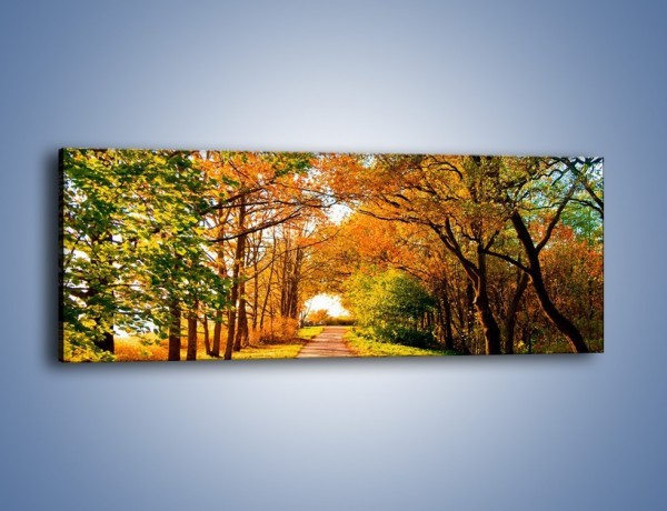 Obraz na płótnie – Słoneczna leśna szosa – jednoczęściowy panoramiczny KN325