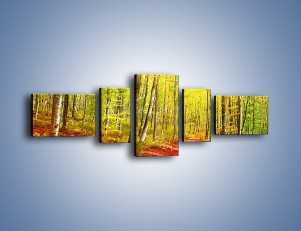 Obraz na płótnie – Brzózki liście i las – pięcioczęściowy KN1345AW6