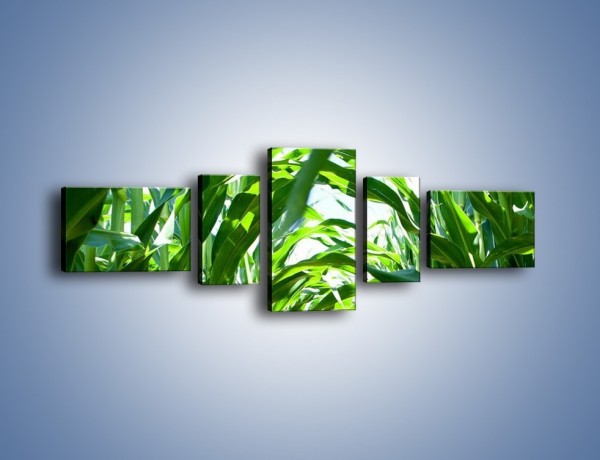 Obraz na płótnie – Wąskie pasmo zieleni – pięcioczęściowy KN154W6