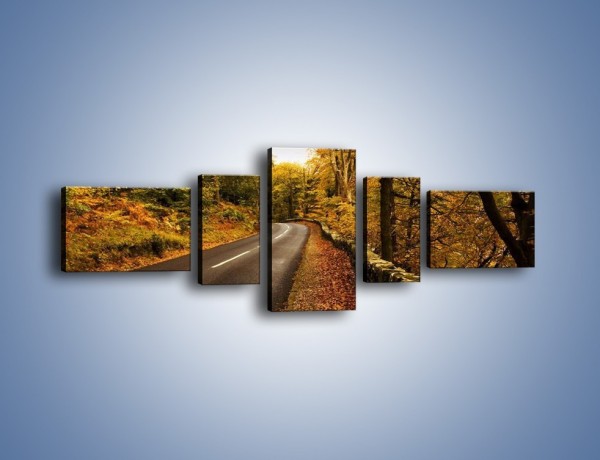Obraz na płótnie – Asfaltową droga przez las – pięcioczęściowy KN169W6