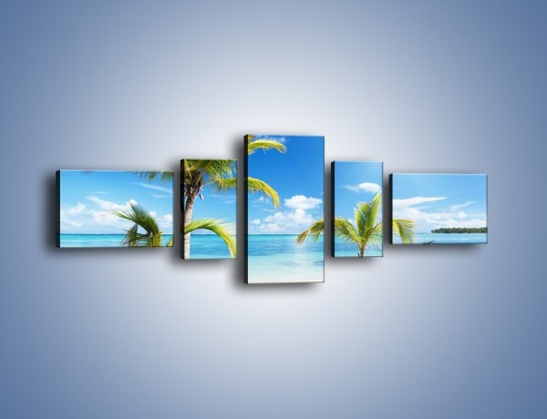 Obraz na płótnie – Palmy na pustej plaży – pięcioczęściowy KN245W6