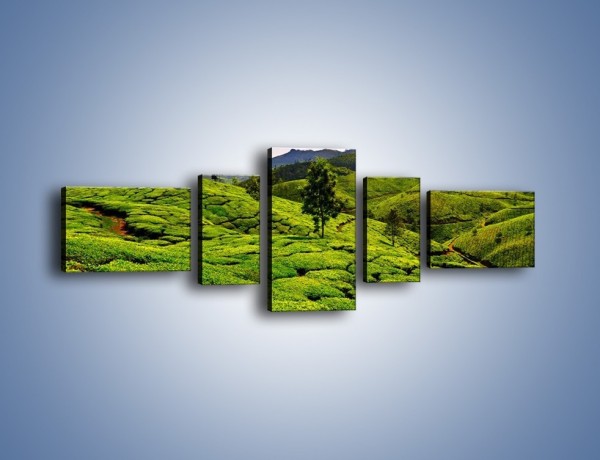 Obraz na płótnie – Góry całe w zieleni – pięcioczęściowy KN246W6