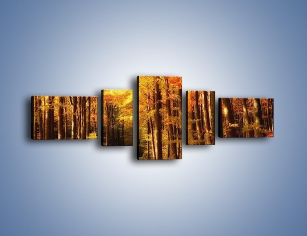 Obraz na płótnie – Lasem w stronę słońca – pięcioczęściowy KN257W6