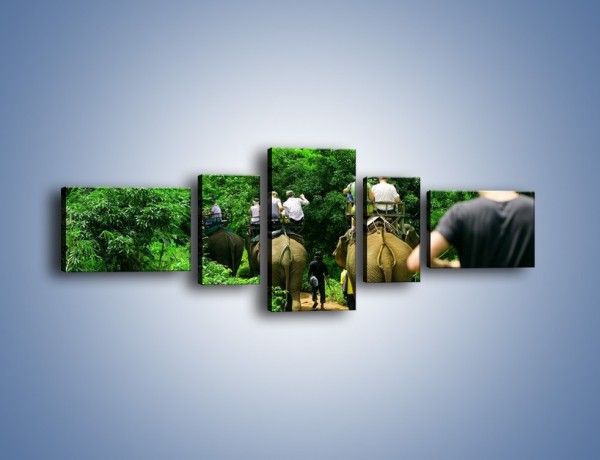 Obraz na płótnie – Podróż na słoniu – pięcioczęściowy KN414W6