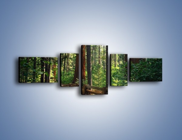 Obraz na płótnie – Chodźmy do lasu – pięcioczęściowy KN611W6
