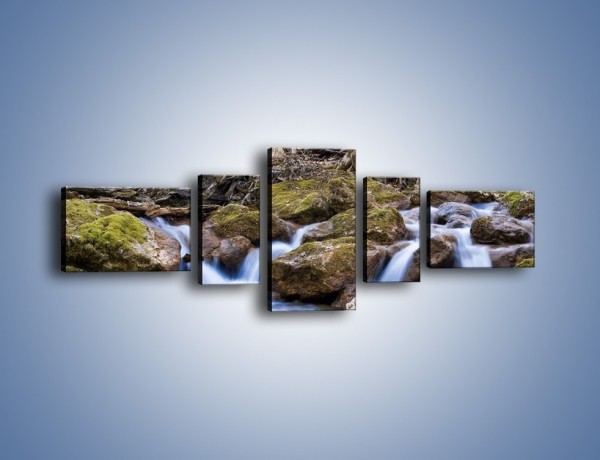 Obraz na płótnie – Rwący potok w chłodny dzień – pięcioczęściowy KN676W6