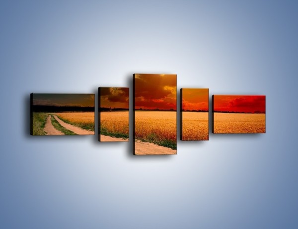 Obraz na płótnie – Zbożowa polana i jej cały urok – pięcioczęściowy KN776W6